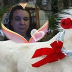 Profil de Meije